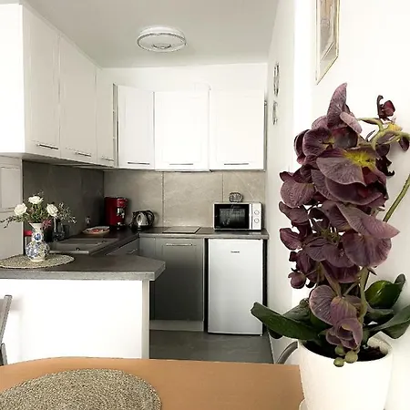 公寓 Apartamentyprzymorzu Marytka W Centrum Blisko Morza 科沃布热格